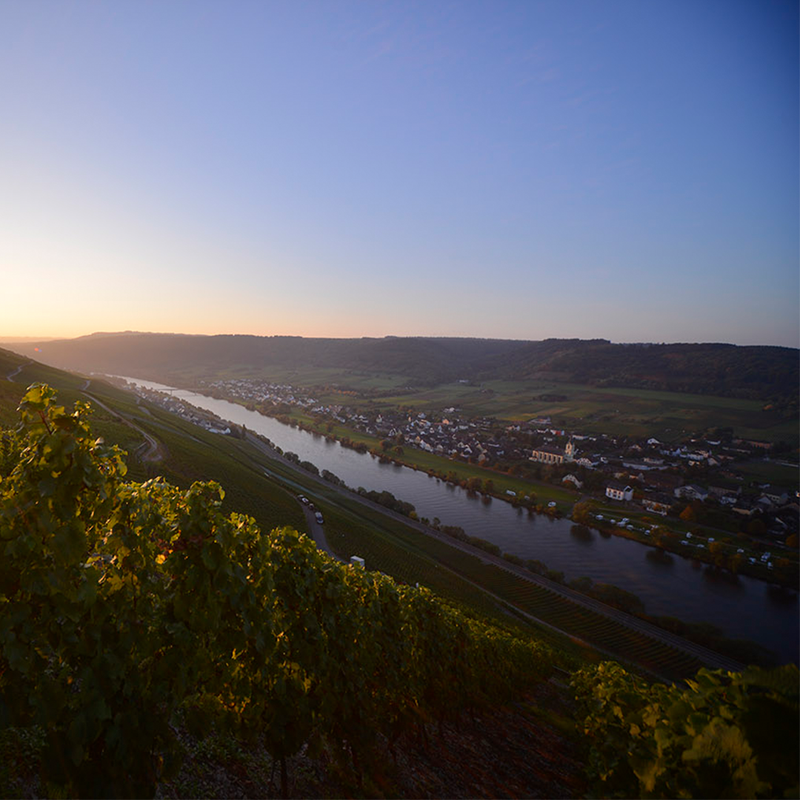 Mosel Ruwer Saar Ahr Terroir