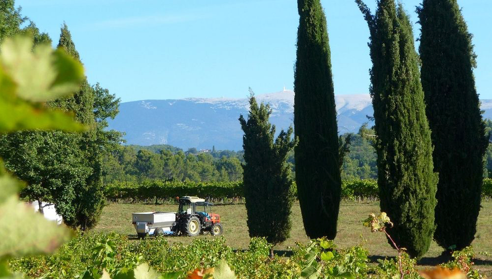 Côtes du Rhône