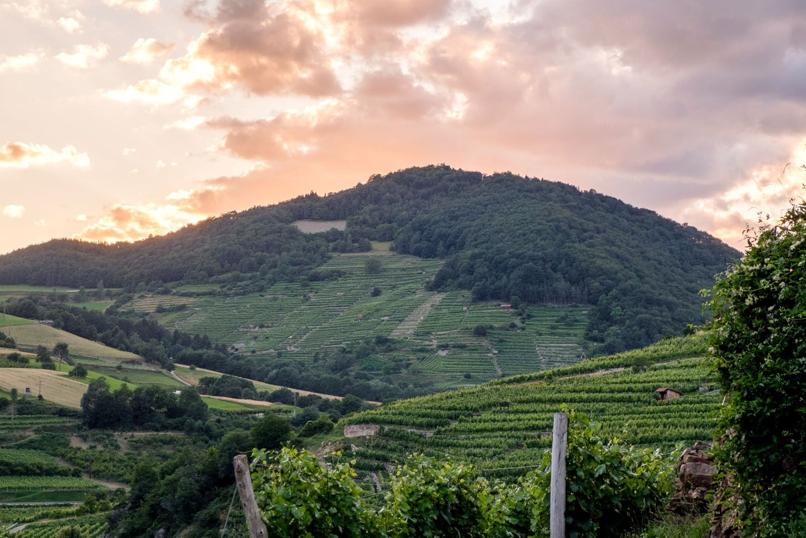 Österreich