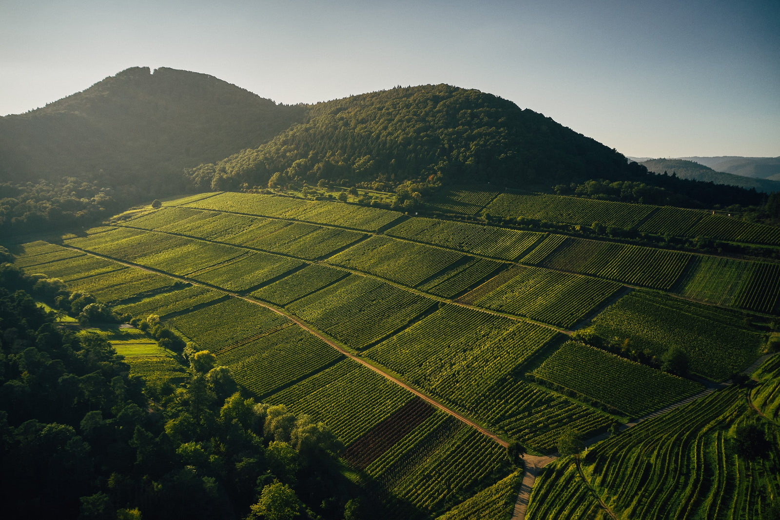 Pfalz