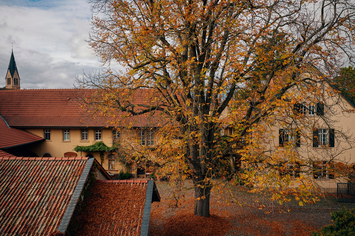 Herbstweine