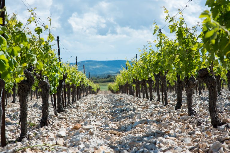 Languedoc
