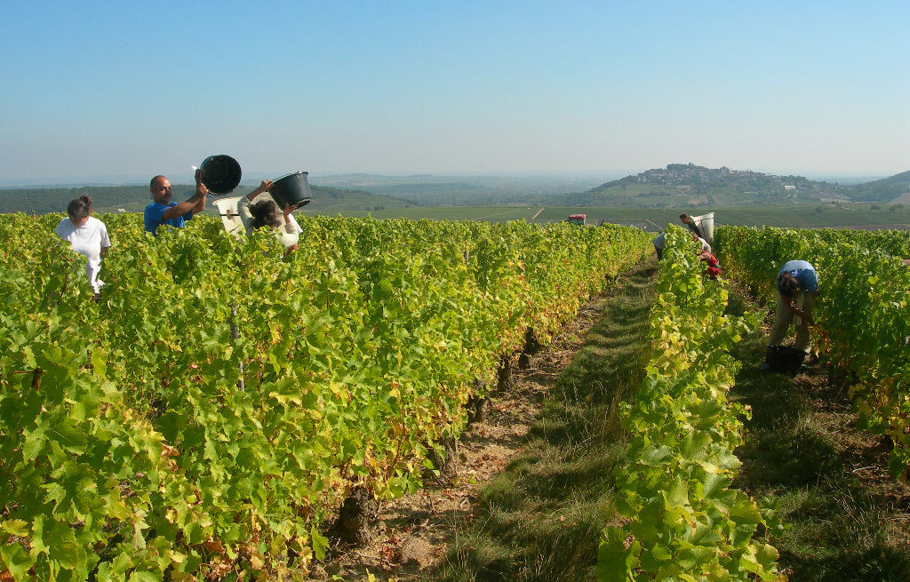 Crémant