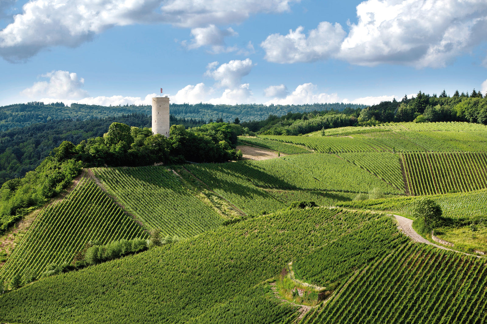 Rheingau