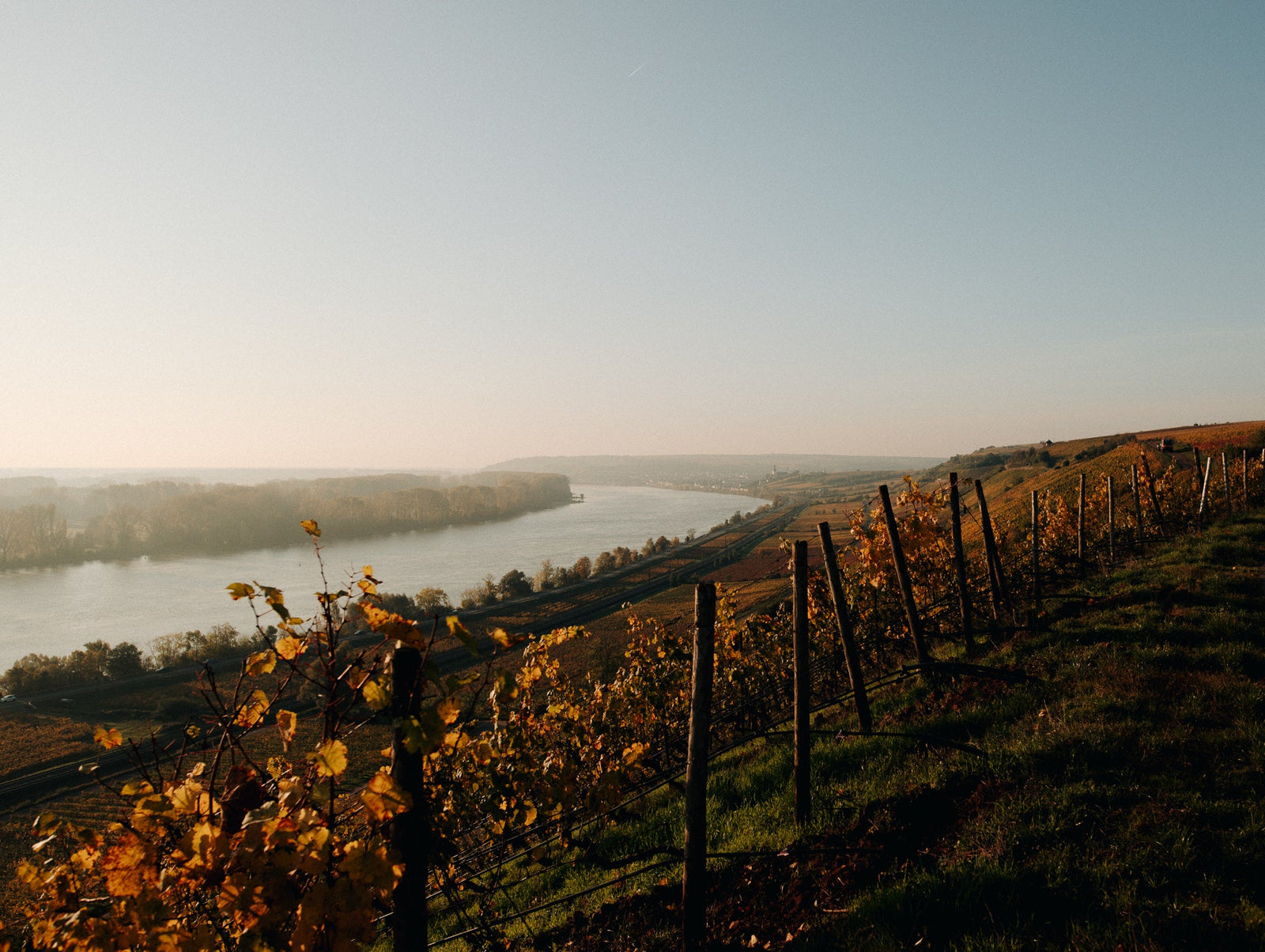 Rheinhessen
