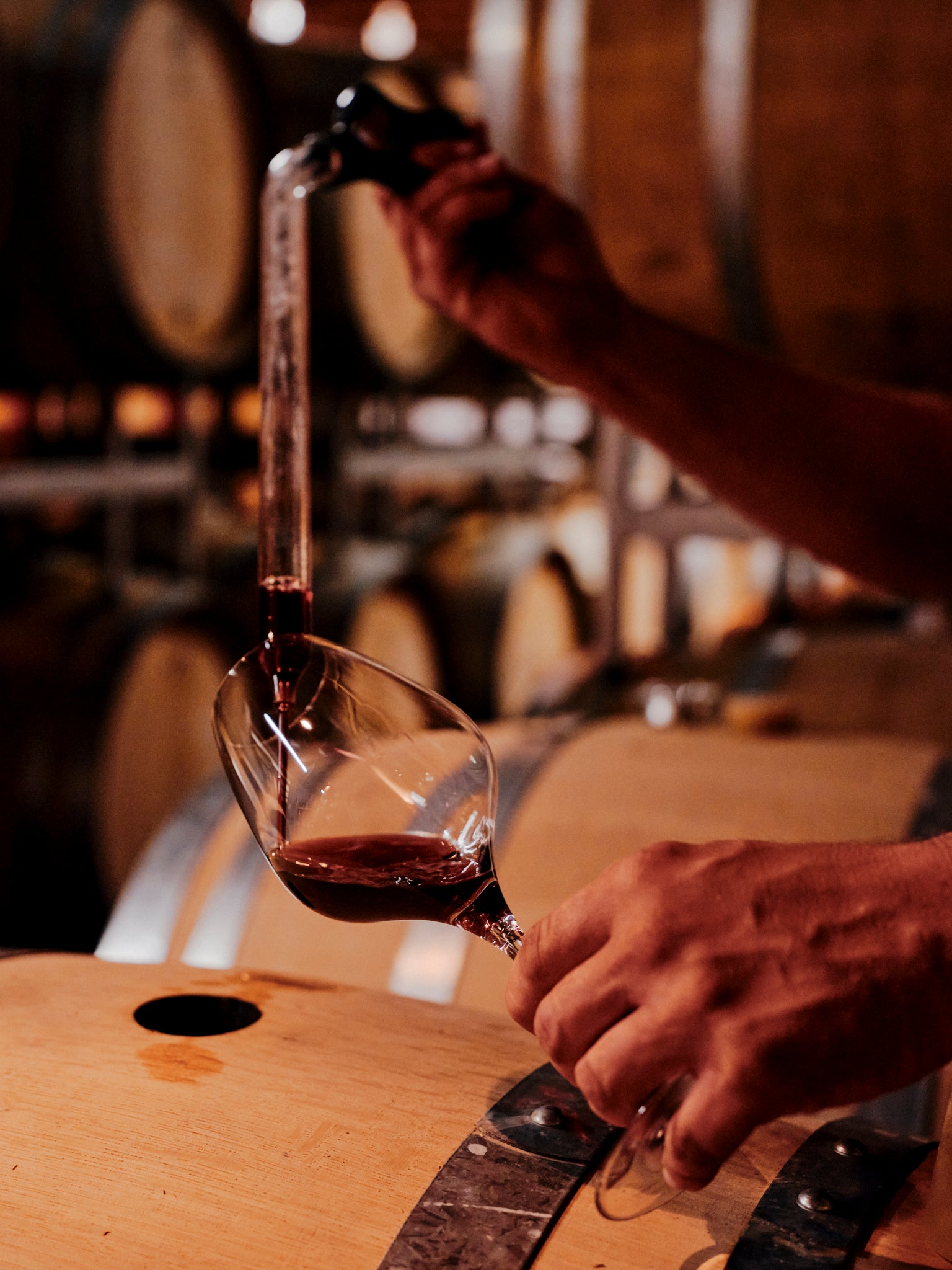 Rotwein