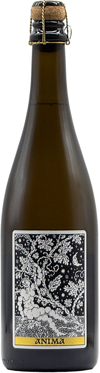 Frédéric Mabileau "Anima" Pet-Nat 2023 Schaumwein aus Loire Frankreich