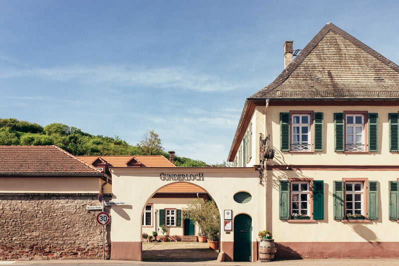 Gunderloch – Weinberg
