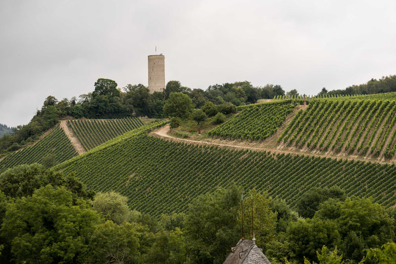 Robert Weil – Weinberg