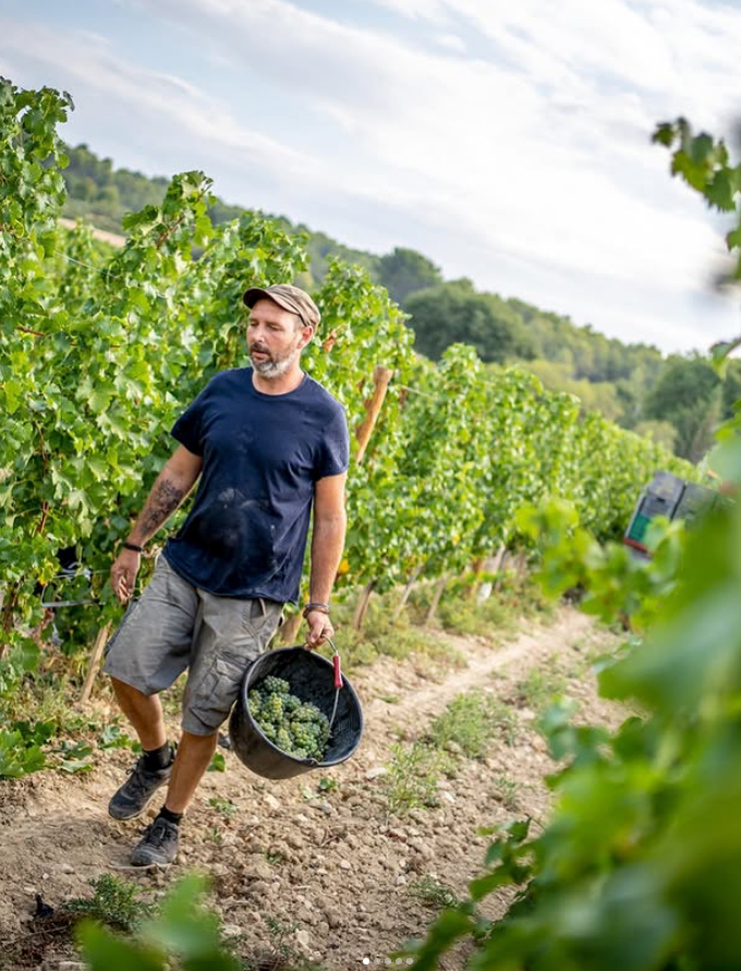 Domaine de la Brillane – Winzer