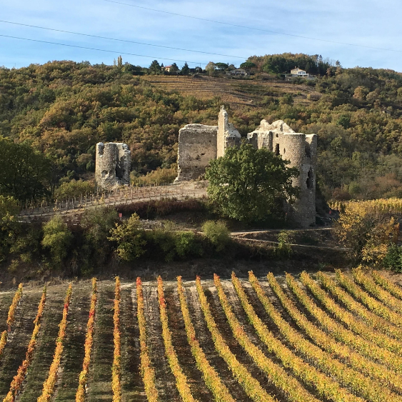 Domaine Belle