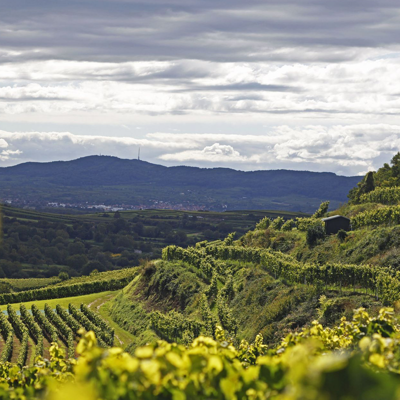 Terroir Series Vol. 1 - Baden