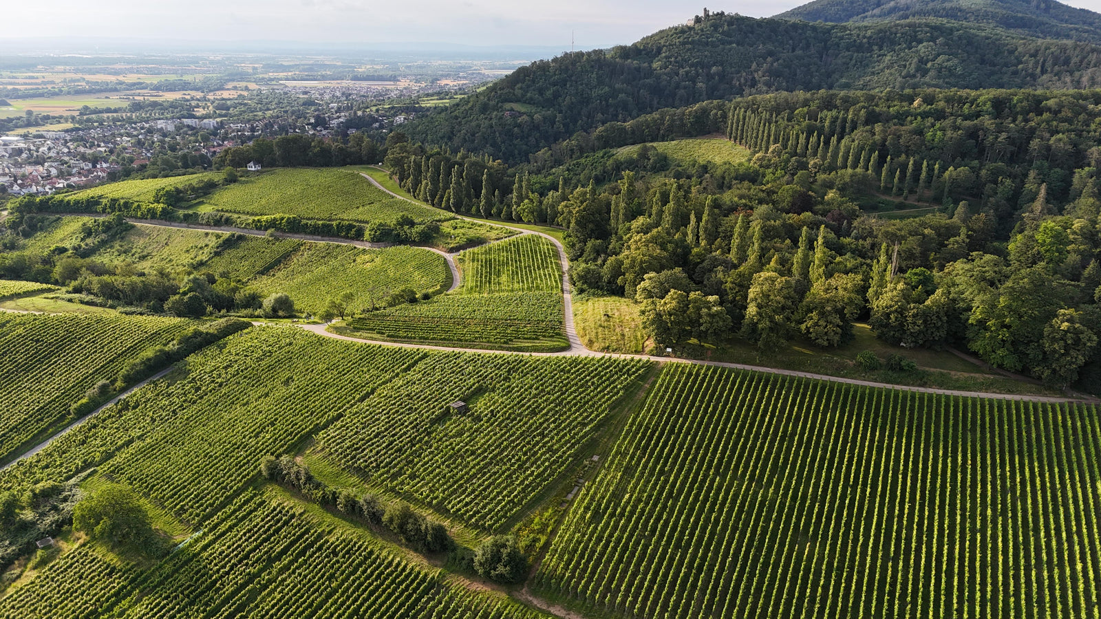 Hessische Bergstraße