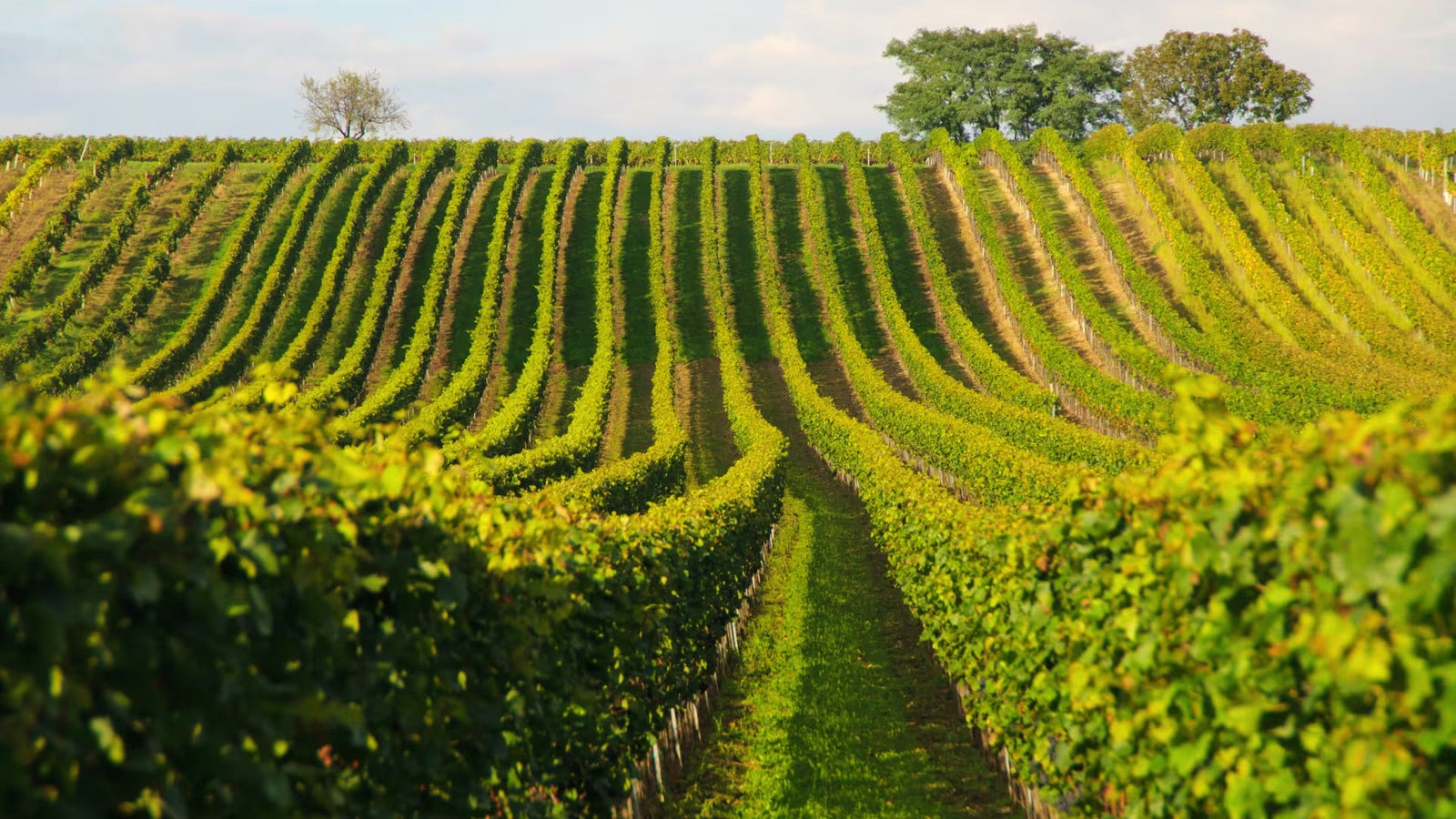 Burgenland