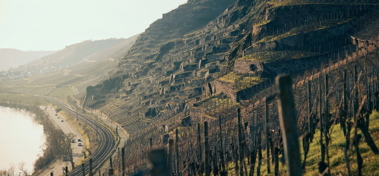 Mosel