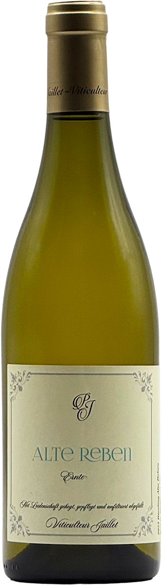 Phillip Jaillet Deutschland Pfalz Weißwein Riesling Chardonnay Spätburgunder Wein
