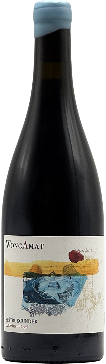 Dalsheimer Bürgel Spätburgunder 2023