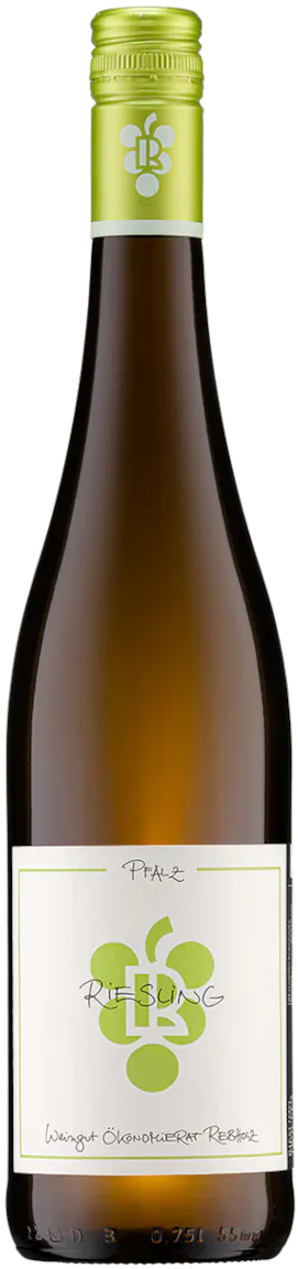 Ökonomierat Rebholz Buntsandstein Riesling 2016 Weißwein