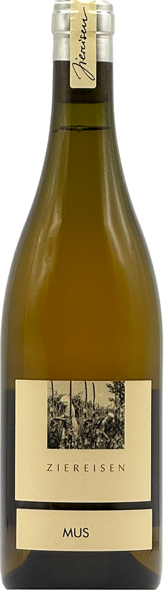MUS Grauer Burgunder 2023