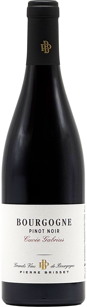 Bourgogne Pinot Noir Cuvée Gabrius 2023 – Maison Pierre Brisset, Burgund