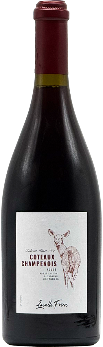 Coteaux Rouge Pinot Noir 2019