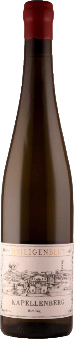 Weinheimer Kapellenberg Riesling 2023