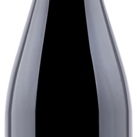 Champagner Bicheret Pinot Noir 2019 brut nature
