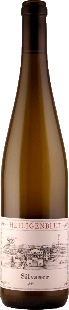 Heiligenblut Silvaner H 2021 Weißwein aus Rheinhessen Deutschland