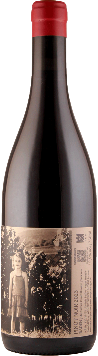 Anna Seeger Pinot Noir 2023 Rotwein aus Baden Deutschland
