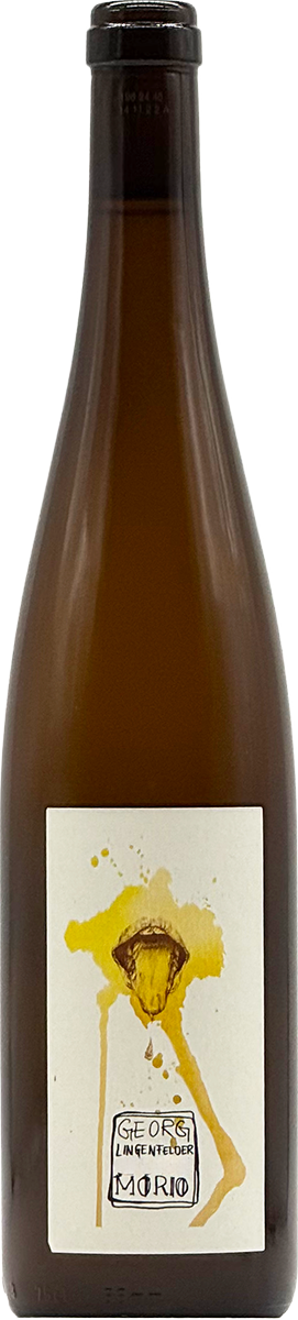 Georg Lingenfelder Morio 2023 Wein aus Pfalz Deutschland