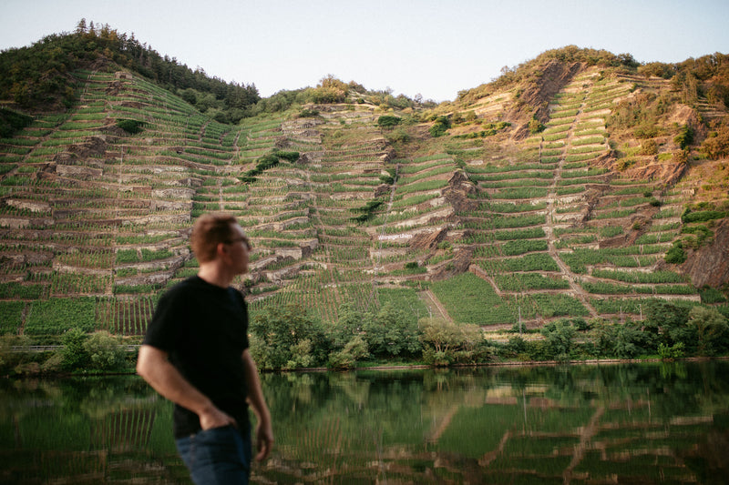 Daniel Fries – Weinberg