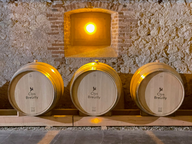 Clos de Breuilly – Weinberg