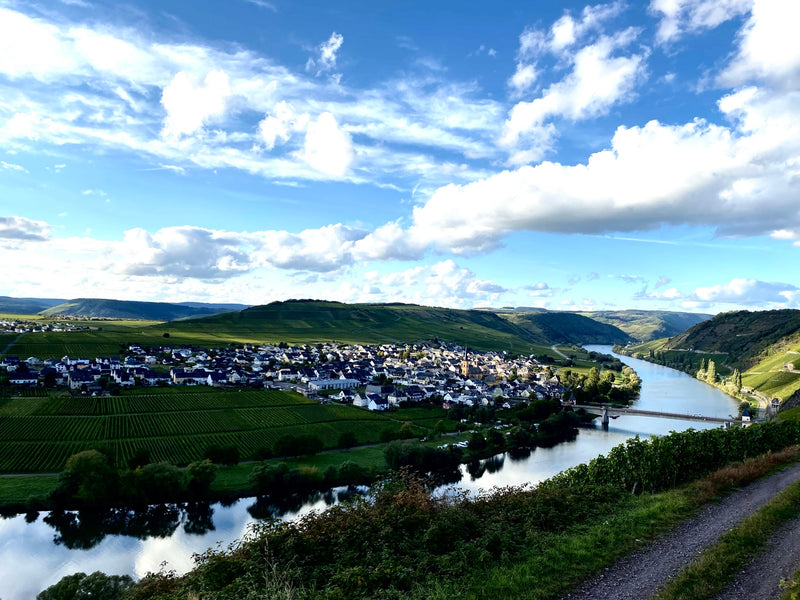 Unterlind – Weinberg
