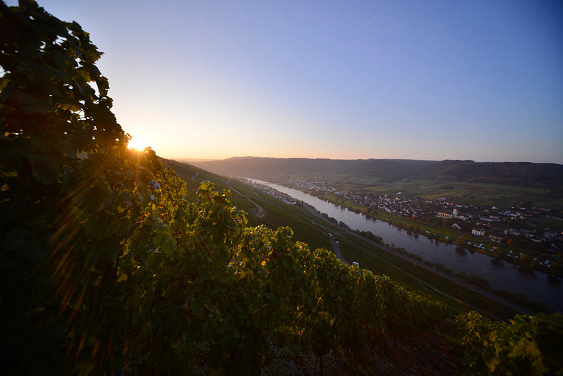 Jakoby-Mathy  – Weinberg