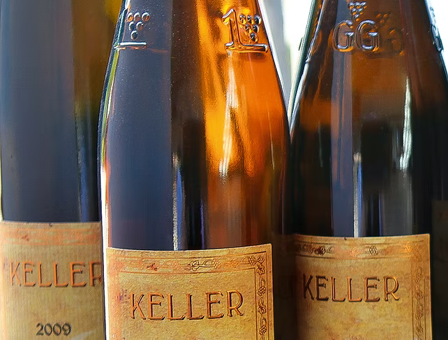 Keller – Weinberg