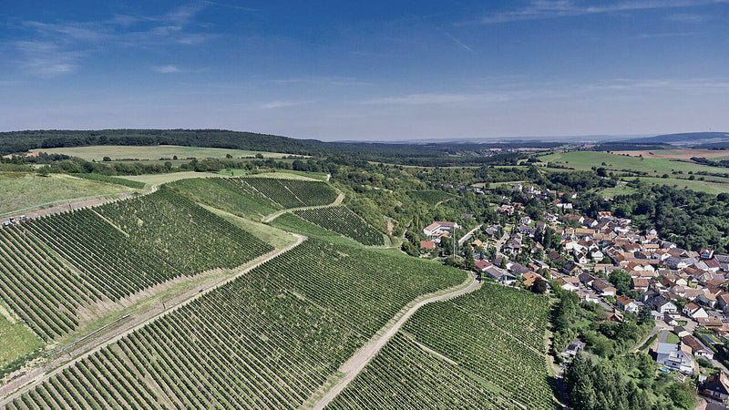 Schäfer-Fröhlich – Weinberg