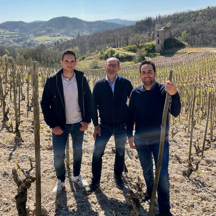 Domaine Belle