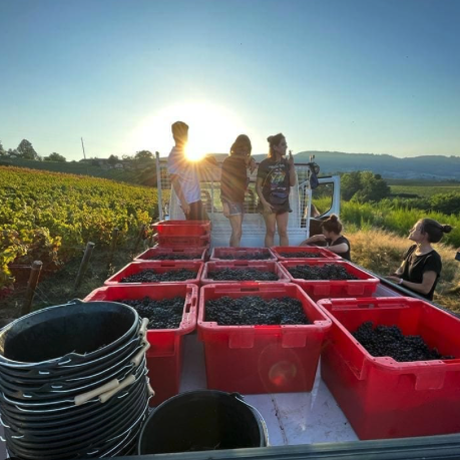Domaine Valma