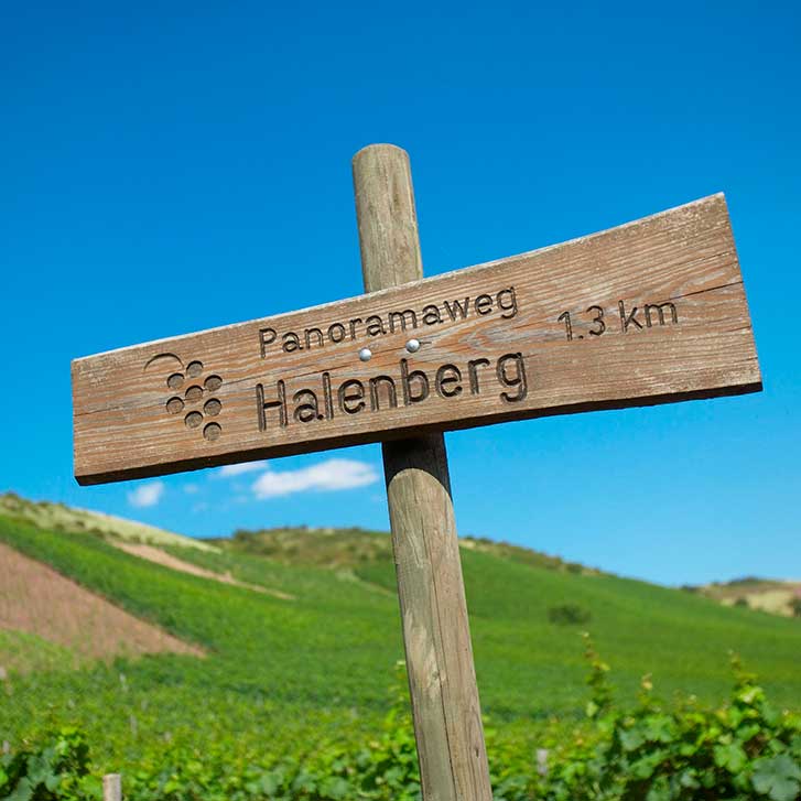 Emrich-Schönleber – Weinberg