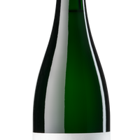 Pur+ Petnat 2021 - Concept Riesling